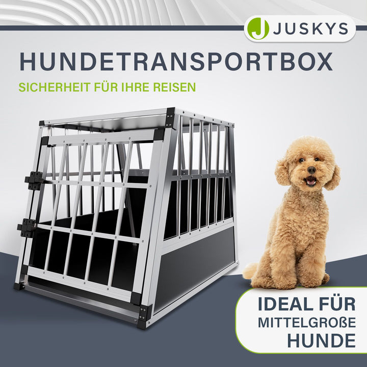 Hundebox Auto