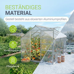 Aluminium Gewächshaus mit Fundament
