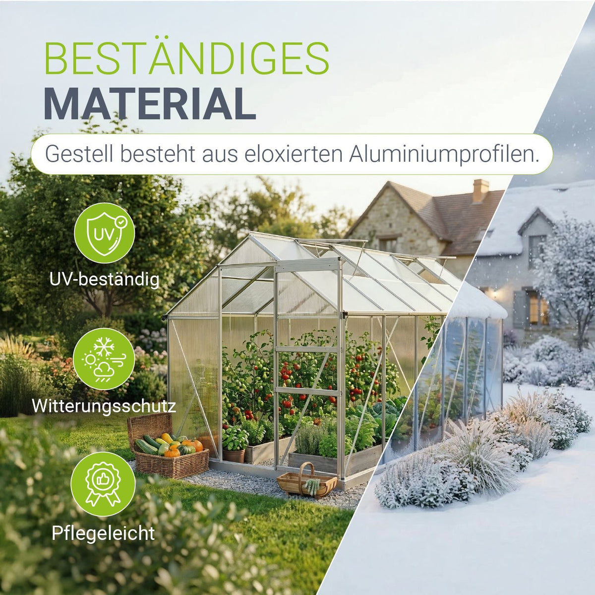 Aluminium Gewächshaus mit Fundament