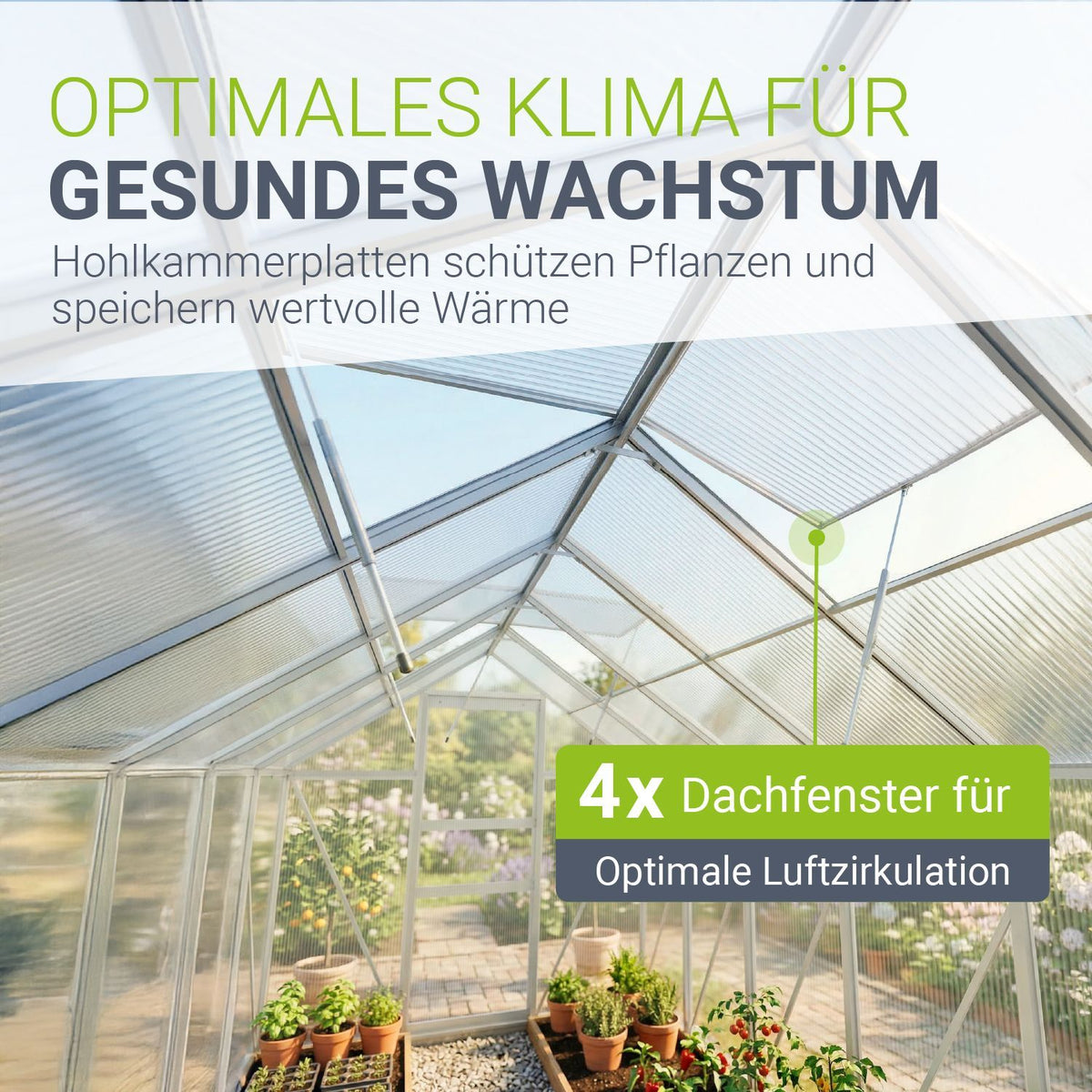 Aluminium Gewächshaus mit Fundament