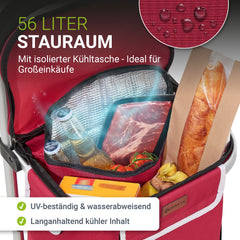 Einkaufstrolley Treppensteiger