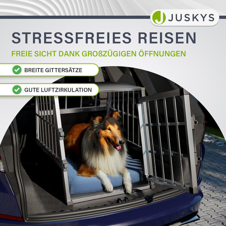 Hundebox Auto