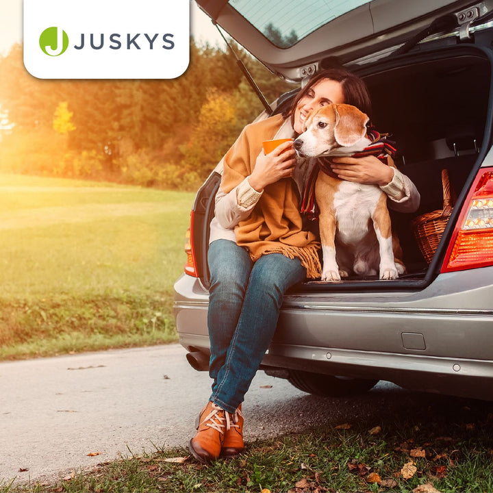 Hundebox Auto faltbar Lassie