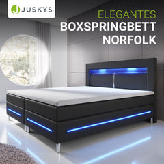 Boxspringbett Norfolk - Kunstleder