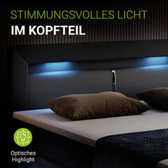 Boxspringbett Norfolk - Kunstleder